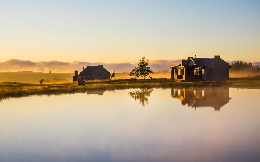 Blue Crane Farm